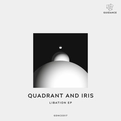 Quadrant & Iris - Cold Brew