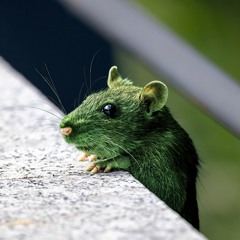 Une souris verte