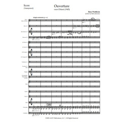 Rosy Wertheim - Ouverture - synthesized