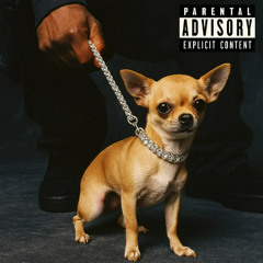 Modello Fallito | feat. Raven