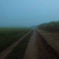 meanwhile in a field