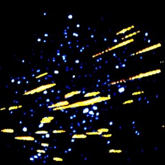 METEOR