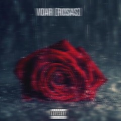 VOAR (ROSAS) ft. PIK GAMA 4$HOW