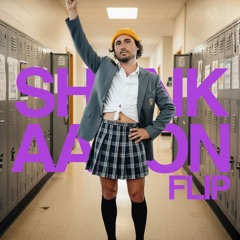 Britney Spears - I Wanna Go (John Summit Remix) - Shank Flip