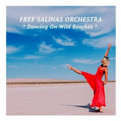 Free Salinas Orchestra ~ Dancing On Wild Beaches (excerpt)