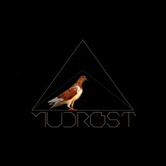 Mudrost - Brown Feathered Bird [Thought-Forms]
