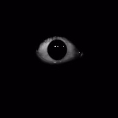 Dracofn (onfleek remix)