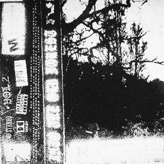 Into the old forest vol 2