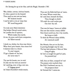 74 To A Mouse by Robert Burns, read by Nicholas Ralph