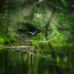 Beside Still Waters