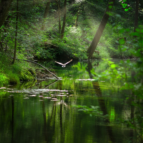 Beside Still Waters