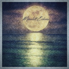 Moonlit Echoes (Eric Heitmann and Patrick Zelinski)