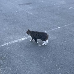 Kendrick Lamar - m.A.A.d City (2manycolours Remix)