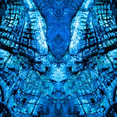 fracture form (extended)