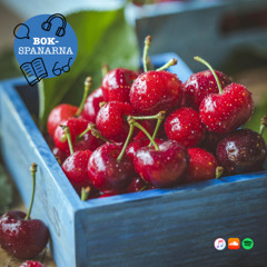 208. Bokspanarna läser på rekommendation