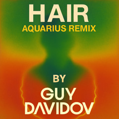Hair - Aquarius (Guy Davidov Remix)