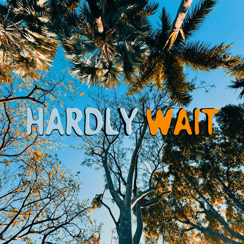 HARDLY WAIT