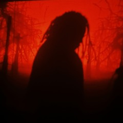 black hole sun (silvanstrauss & bigboihums)