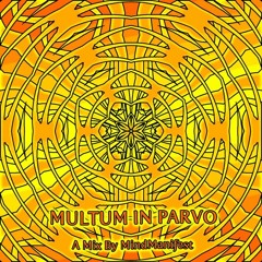 Multum In Parvo (A Mix By MindManifest)