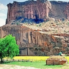 Antonio Carroll - 2025 Hard Trap beat Circle Home Dine Home Antonio Carroll Navajo Artist