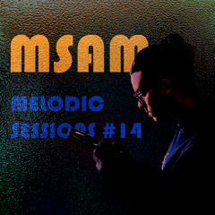 Melodic Sessions #14
