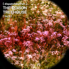 (Dispatches from) the Poison Treehouse no.9