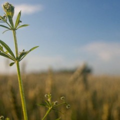 Retiro para renacer y crecer - Dia 23