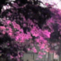 artifax (prod. Lazarus Maximum)