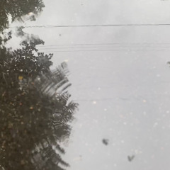 ripples (beabadoobee) ˚*❦cover