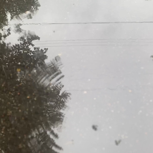 ripples (beabadoobee) ˚*❦cover