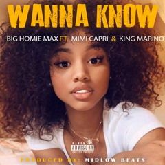 Wanna Know (feat. Mimi Capri and King Marino)