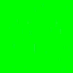 [master] shm tarantino