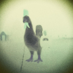 What exactly is the function of a rubber duck? (Quack)