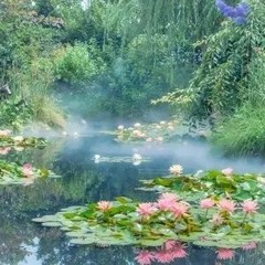 emo-euro-trance/emodance/euro-cloud-rap