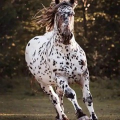 من قلب الحصار