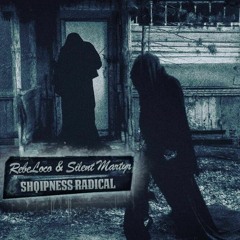 RebeLoco & Silent Martyr - Pragmatist