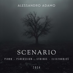 Scenario
