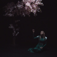 Dreamweaver