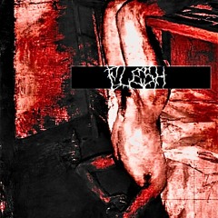 Flesh Ft. Flee [Prod.Zanction]