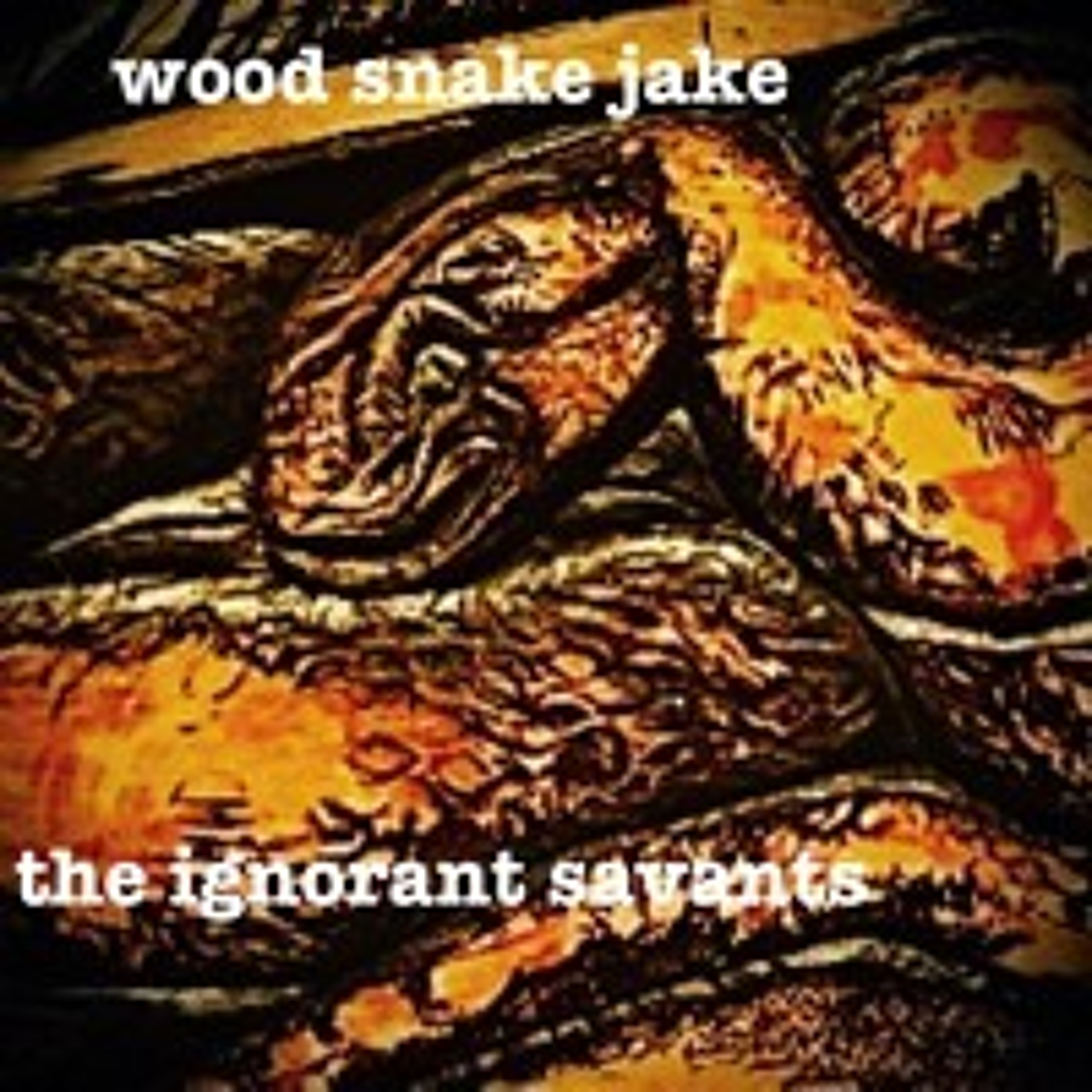 the ignorant savants