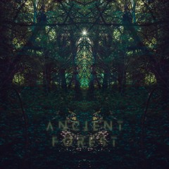 ancient forest