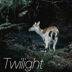 Twilight