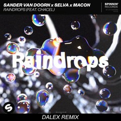 Sander Van Doorn X Selva X Macon - Raindrops (DALEX Remix)