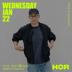 GOOEY - Siggatunez | HÖR - January 22 / 2025