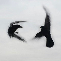 Grey Skies (Interlude)