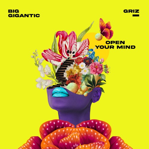 Big Gigantic - Open Your Mind (w/GRiZ)