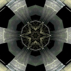 Simon In Wonderland - Patient Zero