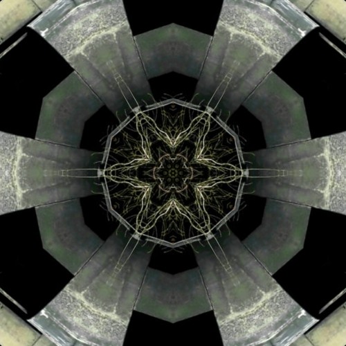 Simon In Wonderland - Patient Zero