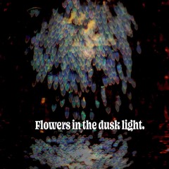 Flowers in the Dusk Light
