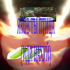 яков птица (ебаная)